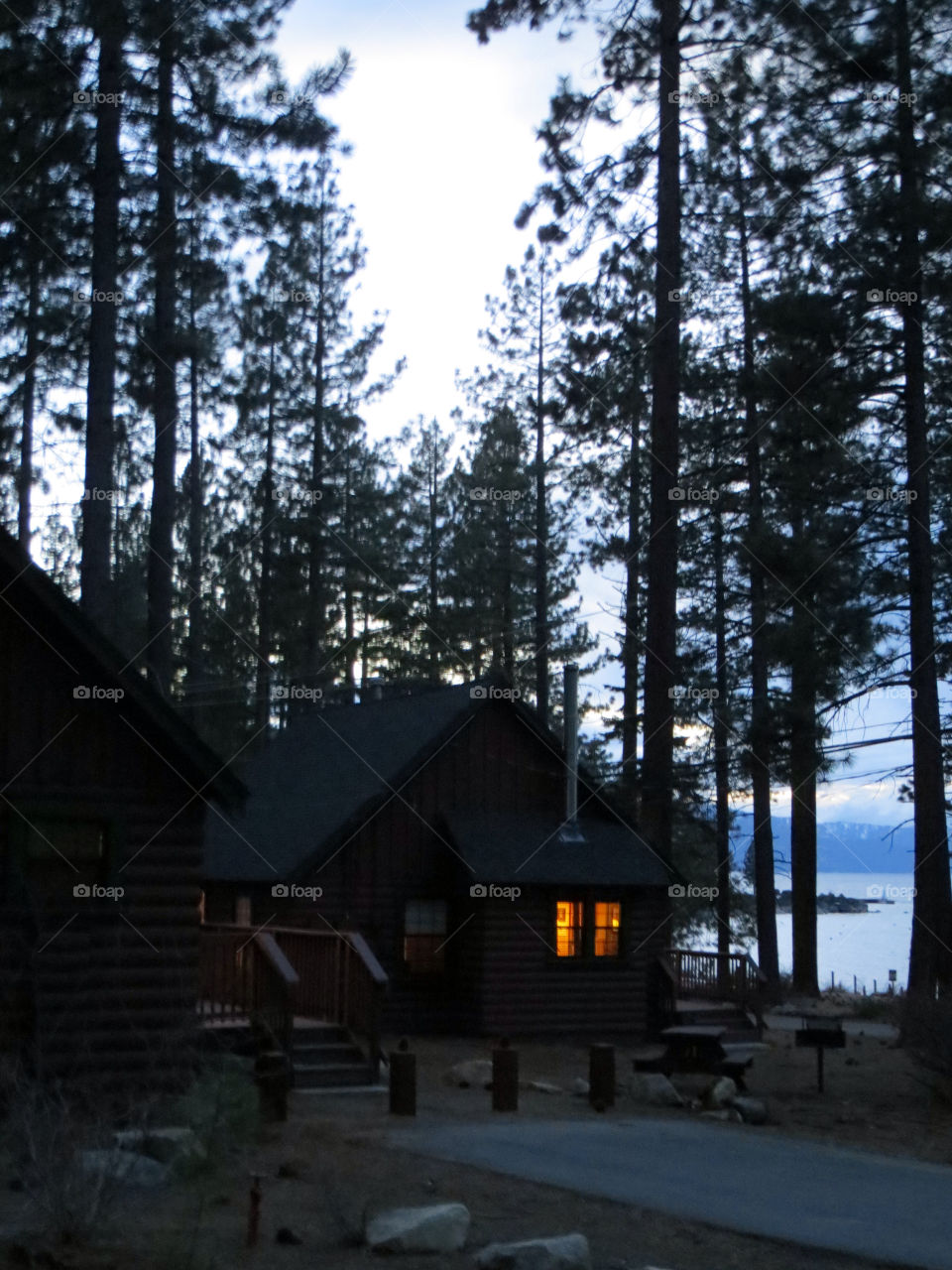 woods cabin cozy pine trees by melody