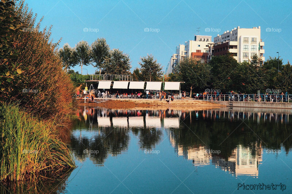 A Beautiful Parc in Milan 