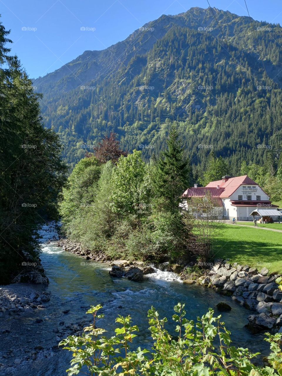 Stream in Bavarian Alps