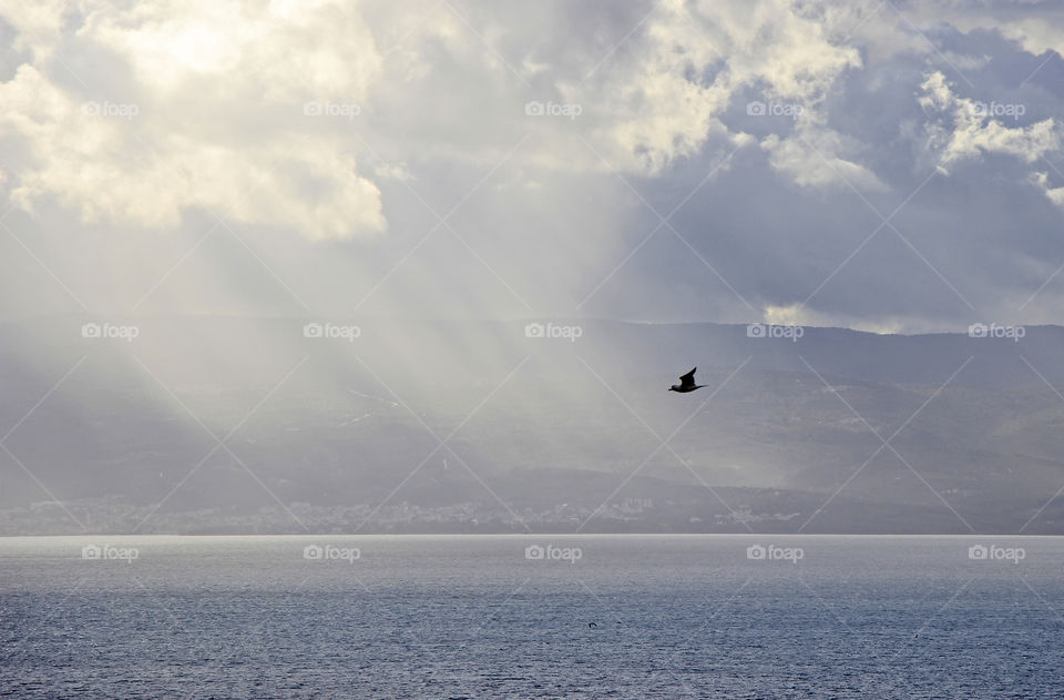 Light trough clouds