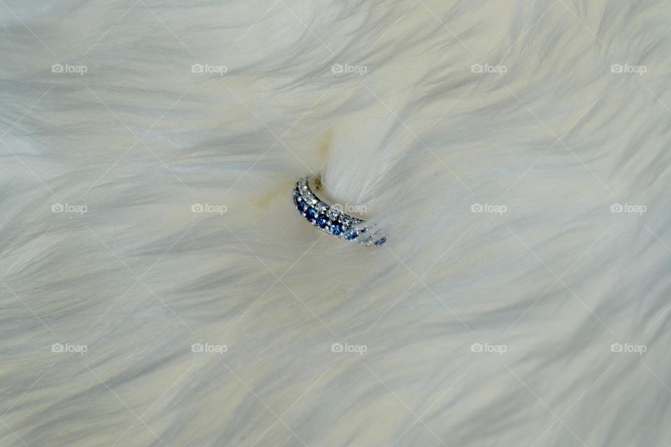 Ring on the white fur