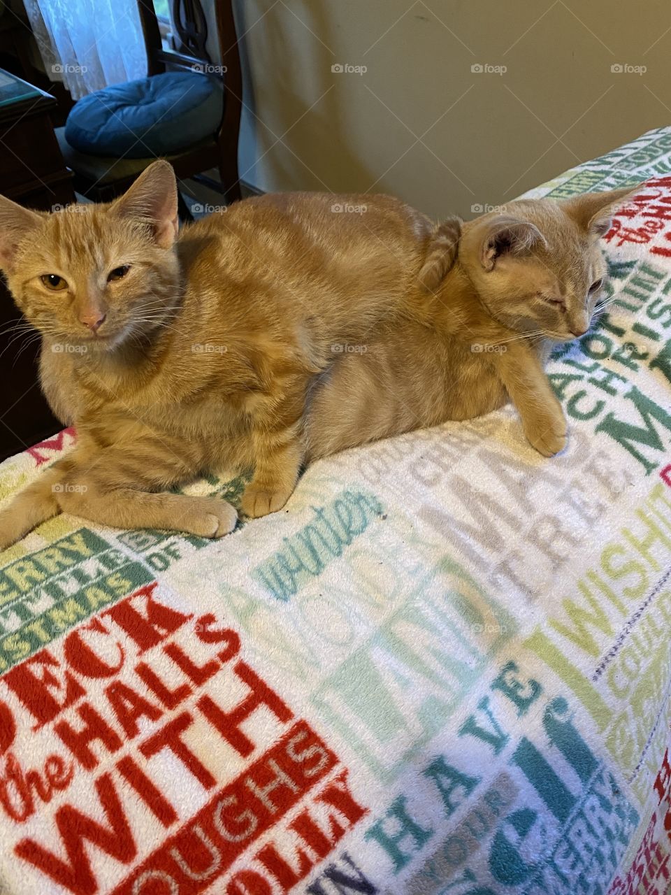 I can’t tell where one stops and the other starts 