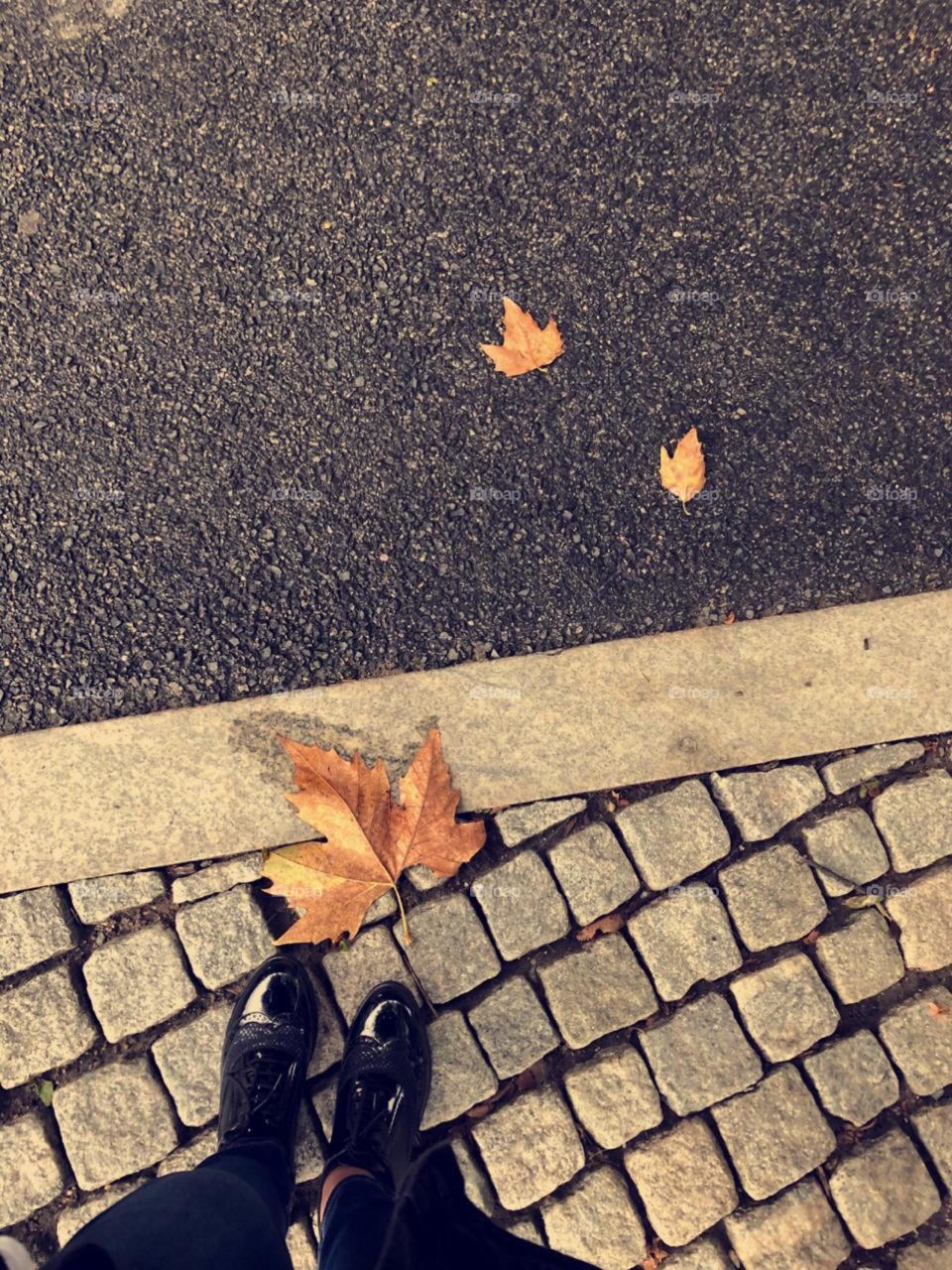 Leaves falling 🍁