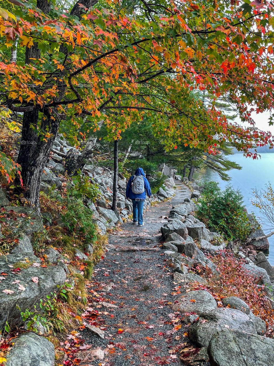 A colorful walk.  Taken on a rainy day at Jordan Pond.