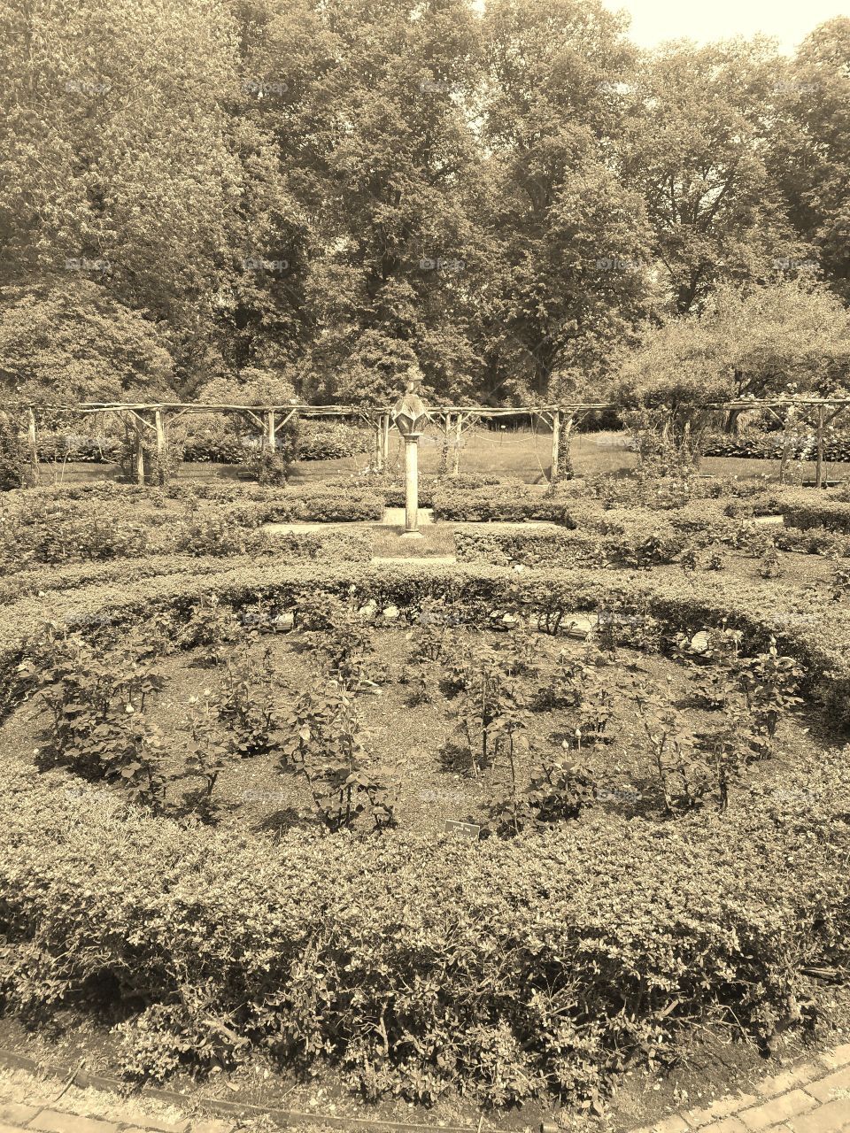 Beginning of Summer at Old Westbury Gardens on Long Island. Mix of Clouds and Sun. Sepia Filter. Walking Path Captured on Android Phone - Galaxy S7. May 2017.