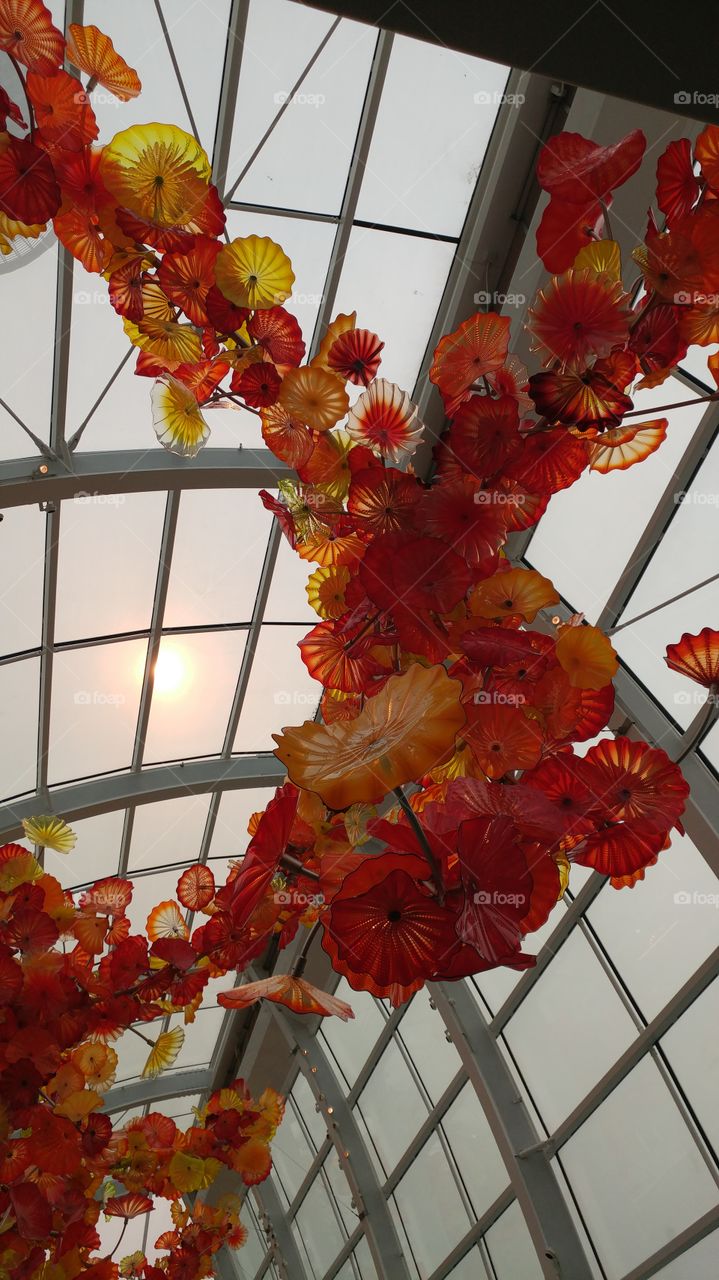 Chihuly