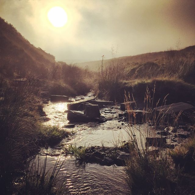 Babbling Brook