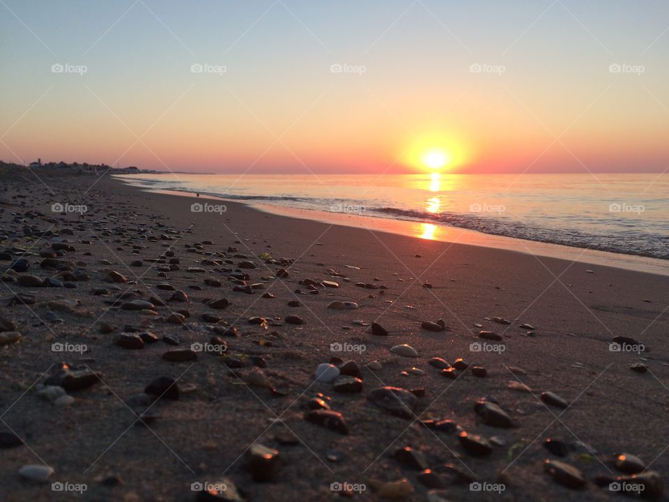 Shells and stones on a beach at sunrise