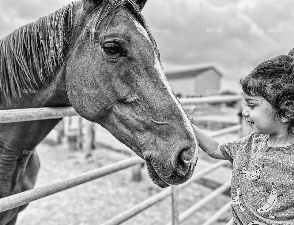 Black and white portrait of a toddler girl with a horse, little girl pets horse for the first time, petting horses on a farm, interacting with large farm animals, toddler girl pets horse, portrait of happiness, monochrome image 