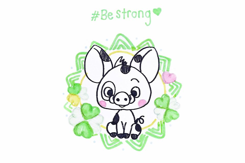 Hand drawn of a cute boar with shamrock to bring good luck. Happy pig.
