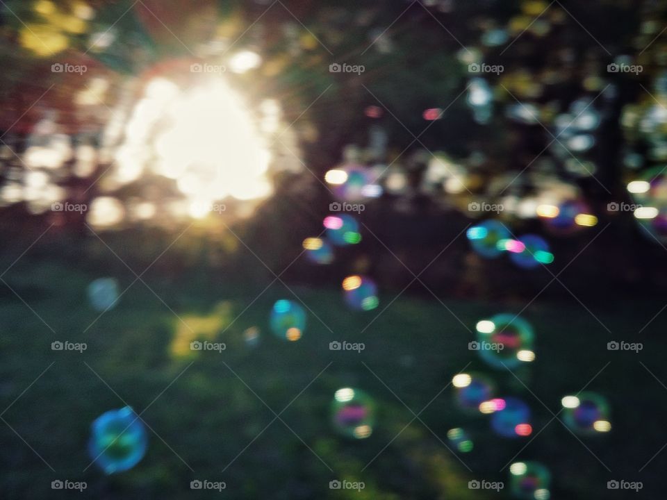 Multi Colored Bubbles Floating on the Breeze at Sunset in a Field Lined with Trees