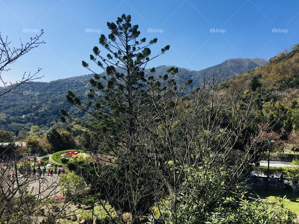 Yangmingsan Mountain 