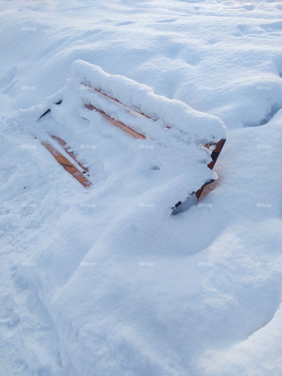 bench  in the snow