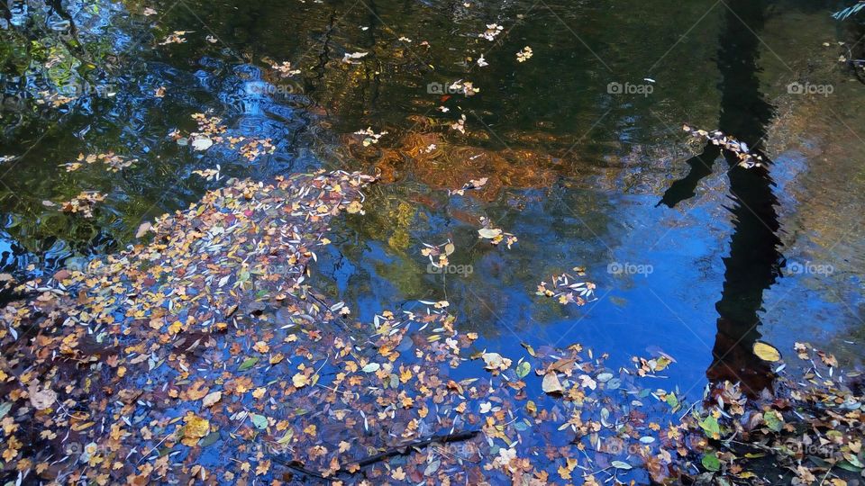 Autumn water reflections