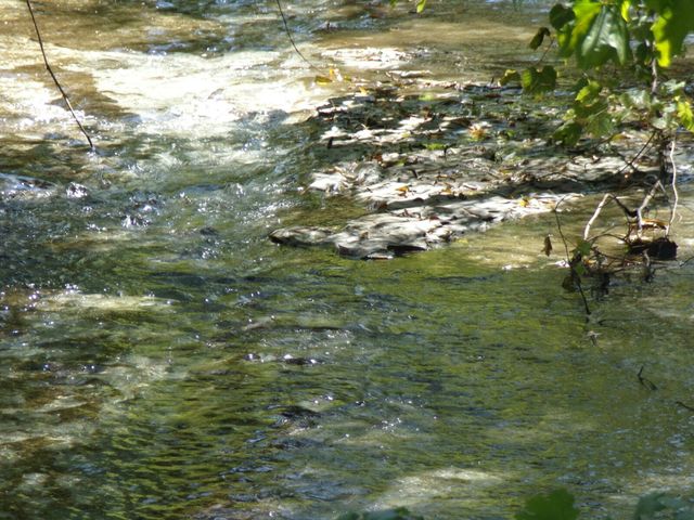 trickling away the world outside.