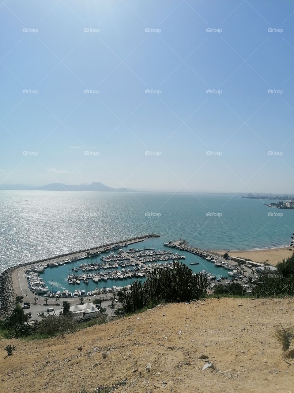 Sidi Bou Said Harbour