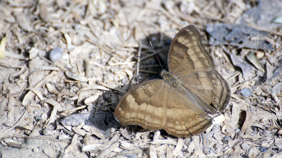 The subtle, natural shades of nature always get your attention.