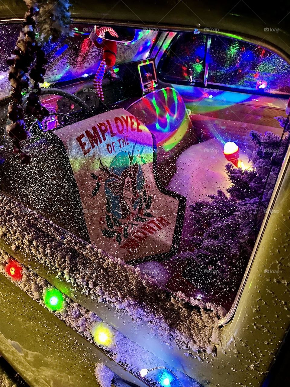 Twinkling Holiday Lights