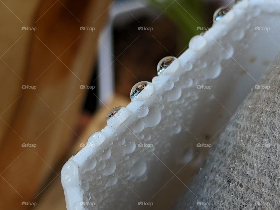 Every morning I always see this water drops... beautiful