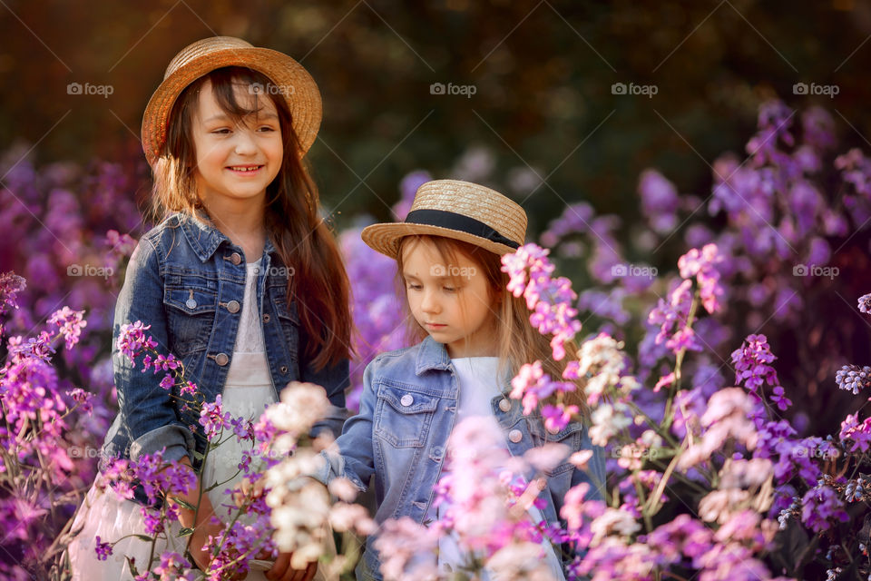 Little sisters in a blossom meadow 