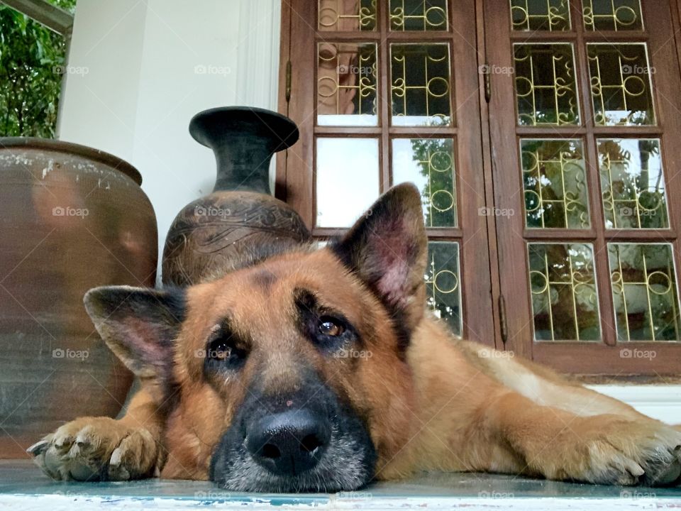 What is this feel bored face