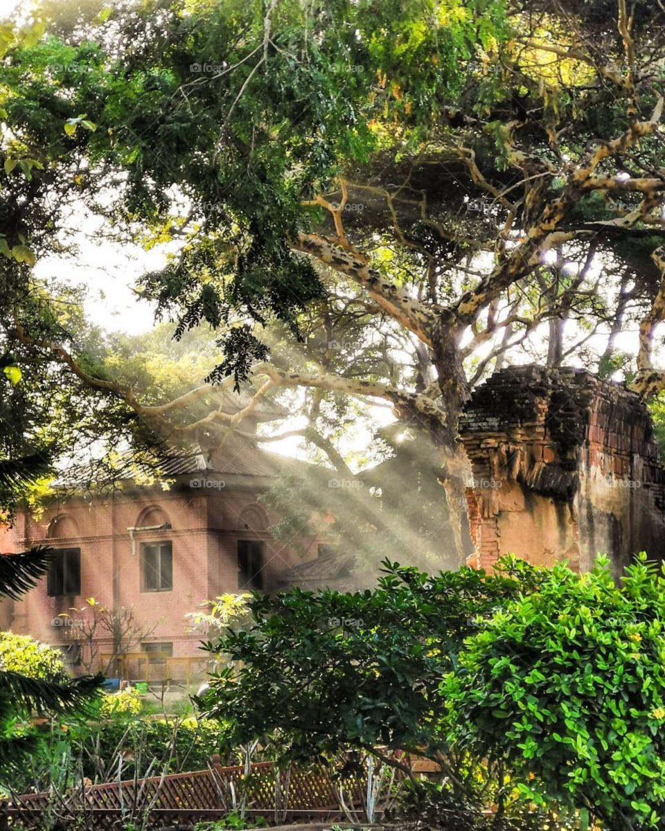 Having coffee while enjoying the view of the pagodas at our hotel in Bagan, Myanmar.