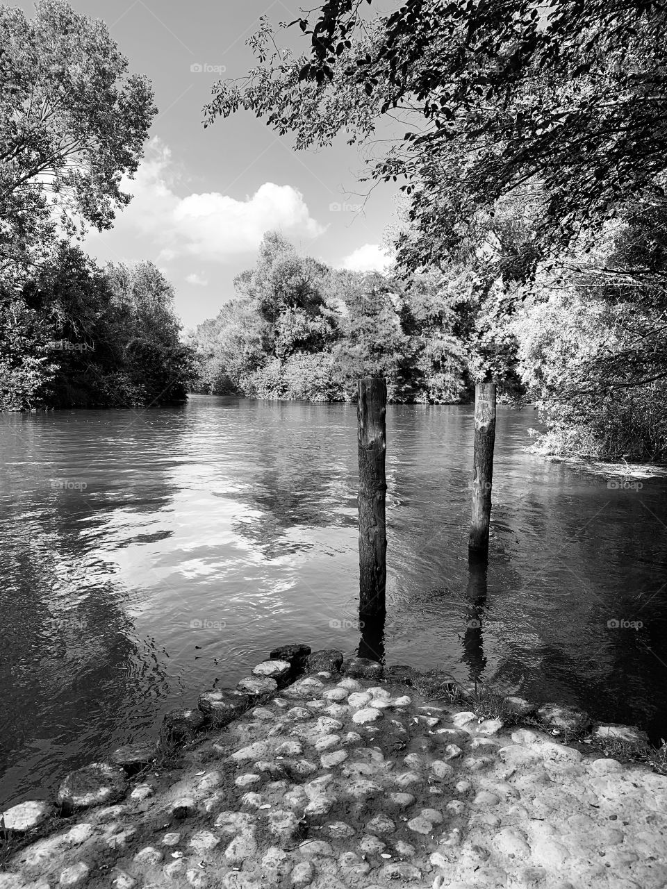 The placid flow of the spring river Sile in the stretch between Casier and Casale sul Sile in the Venetian countryside.