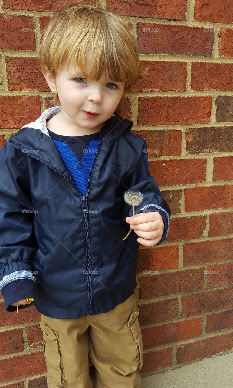 Cute boy holding dandelion flower