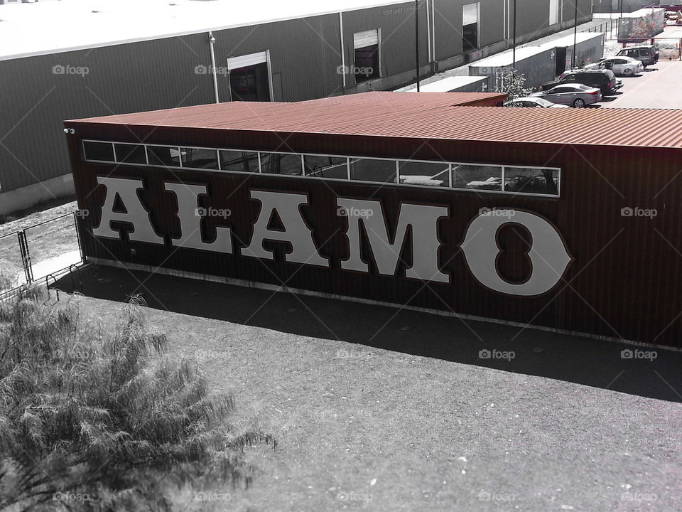 Down on Alamo