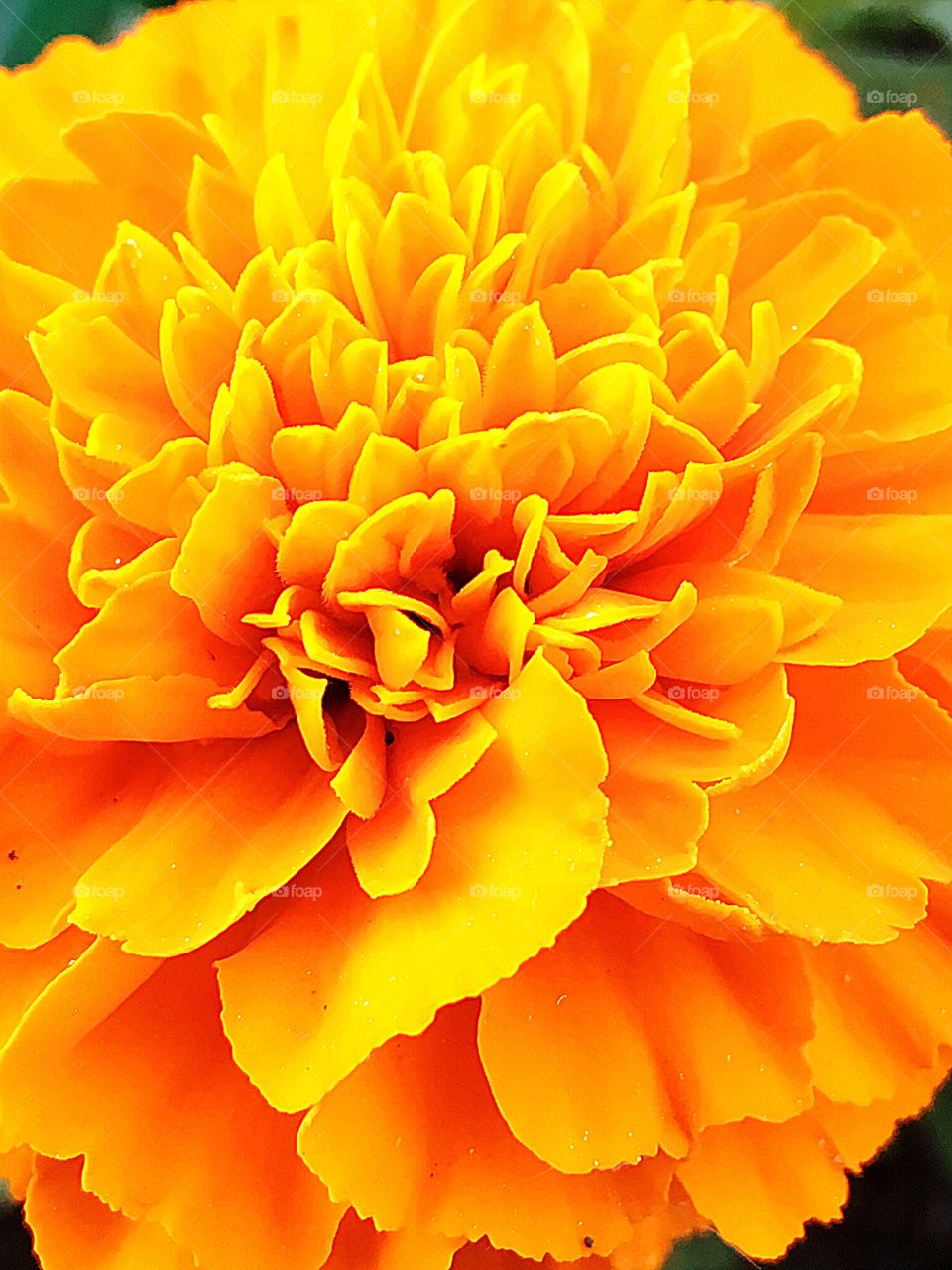 Captured with iPhone 6s Plus 