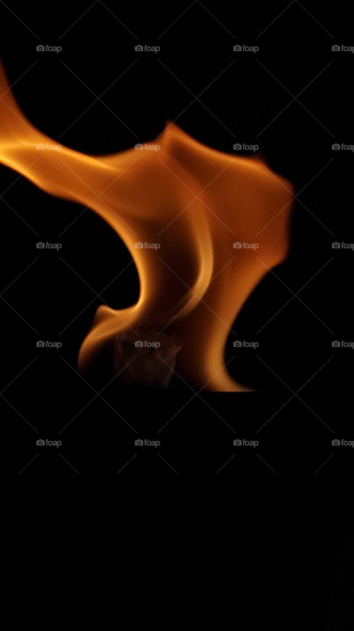 Fire flames on a black background