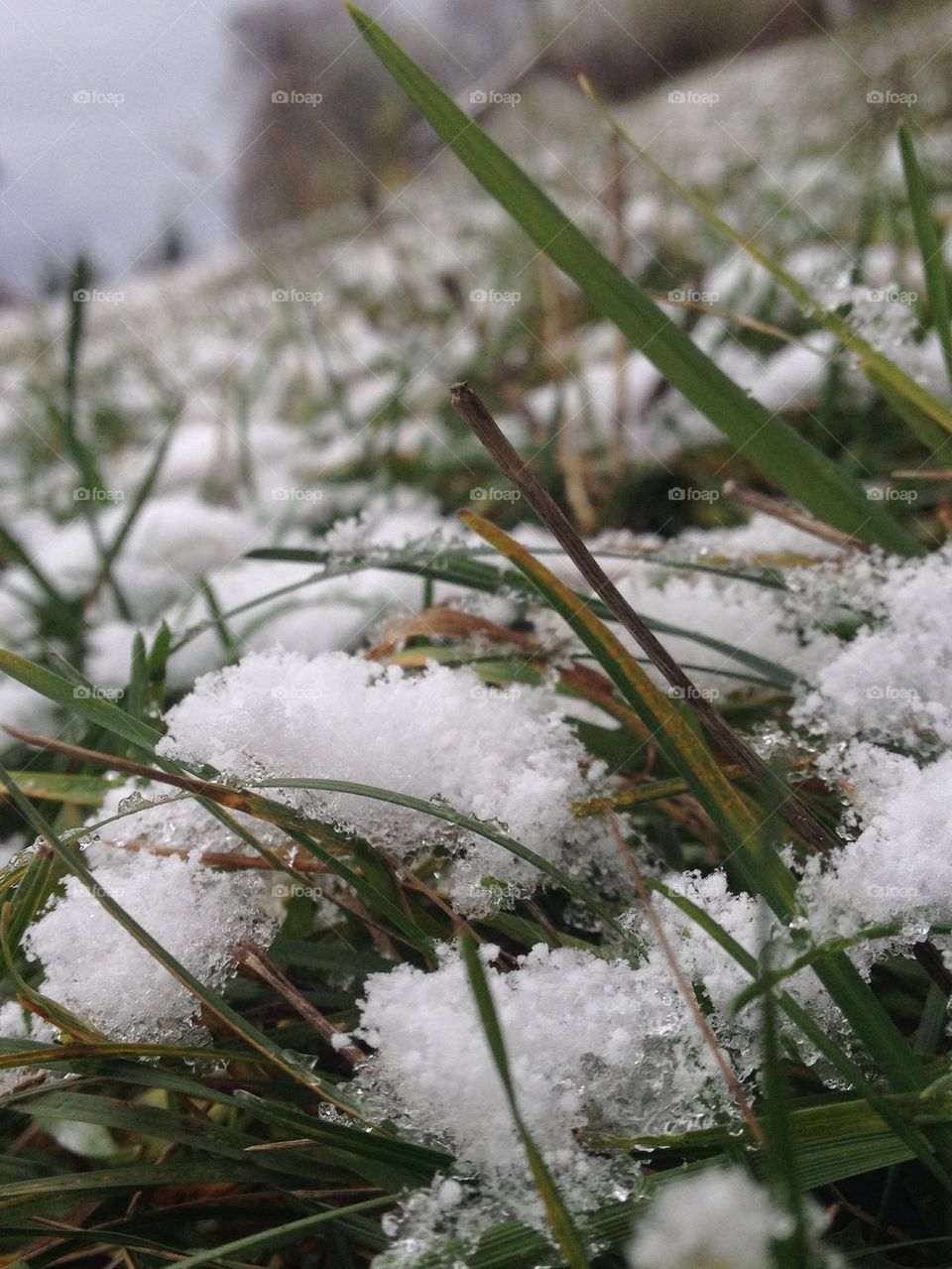 first snow