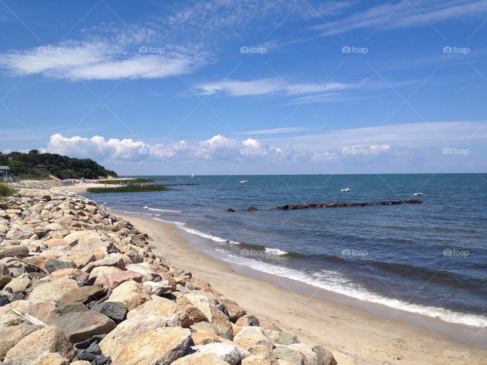 Cape Cod