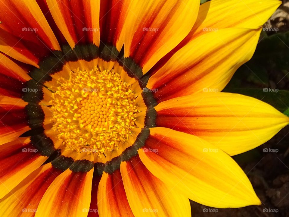 Things are better appreciated up close