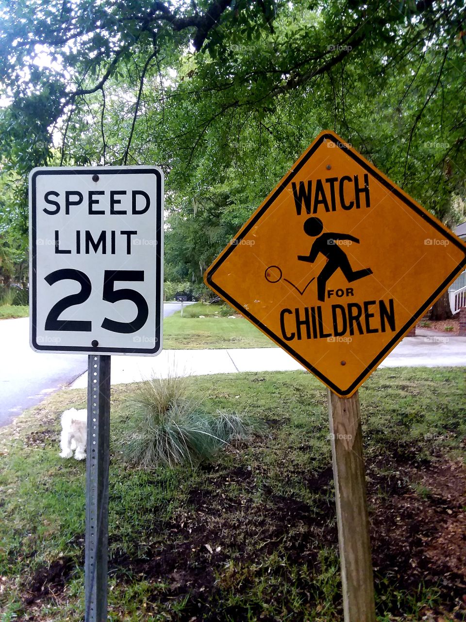 signs no one pays attention to