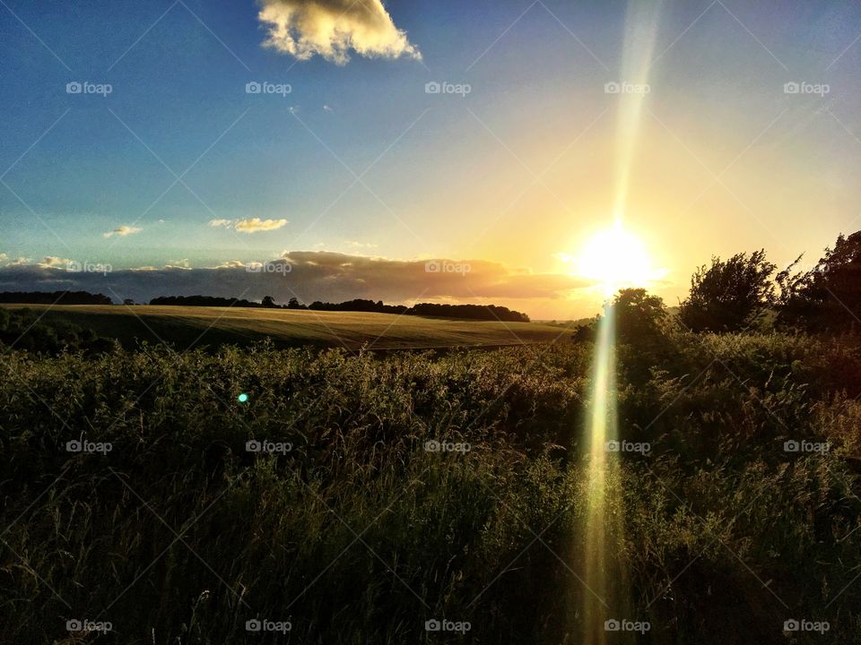 Beautiful summer sunset in the countryside 