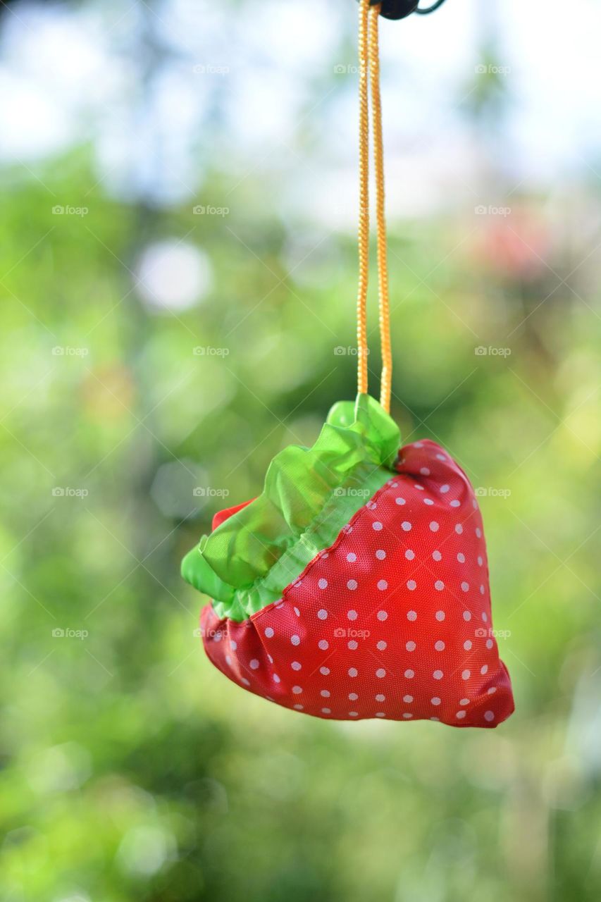 Strawberry Polka dot