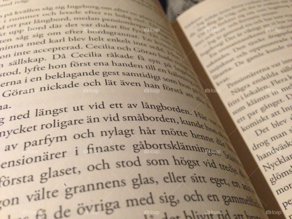 macro book read swedish by haq