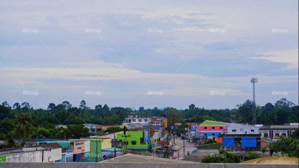 community, road, houses, trees, buildings, village