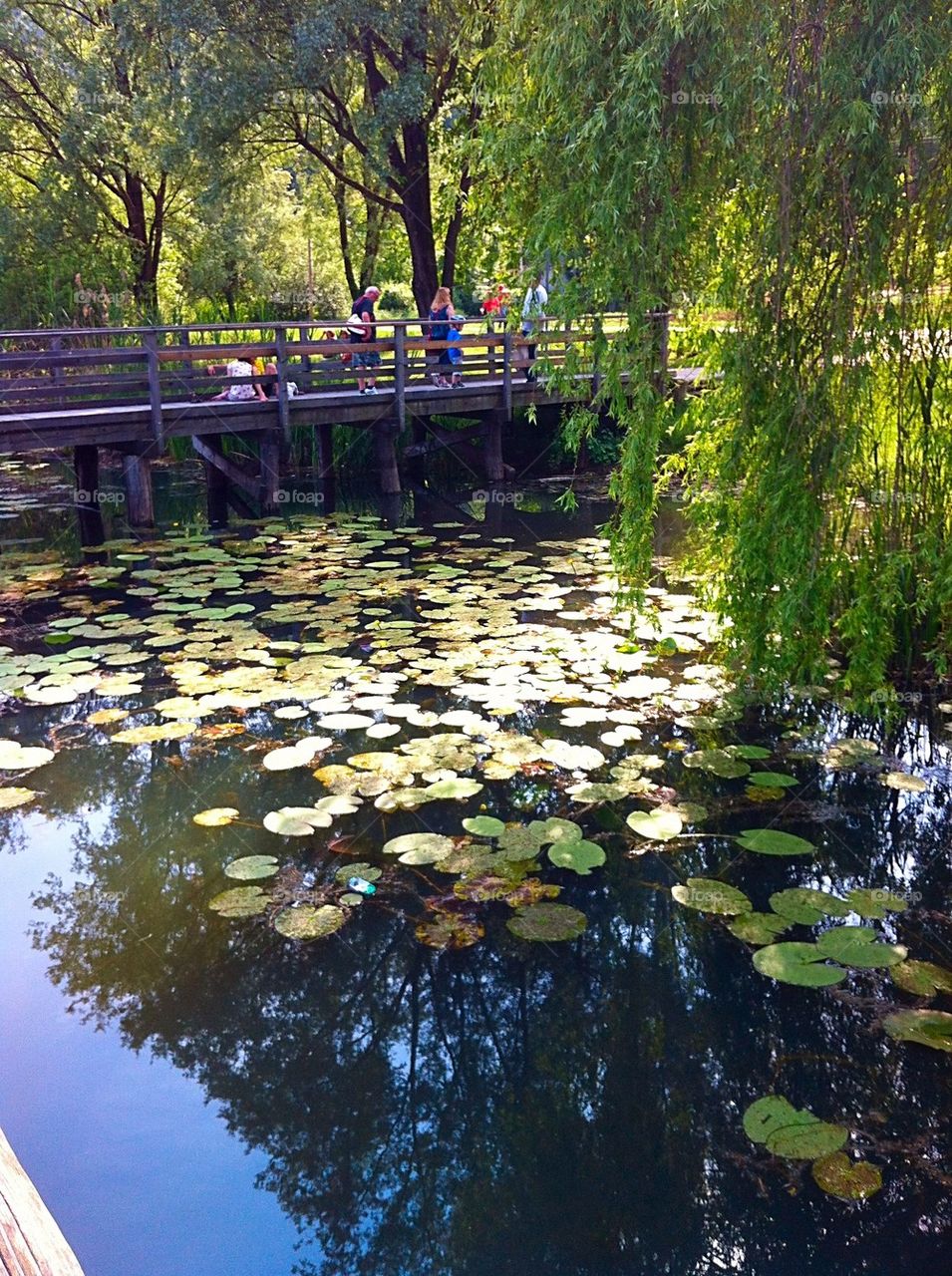 Lago di Fimon