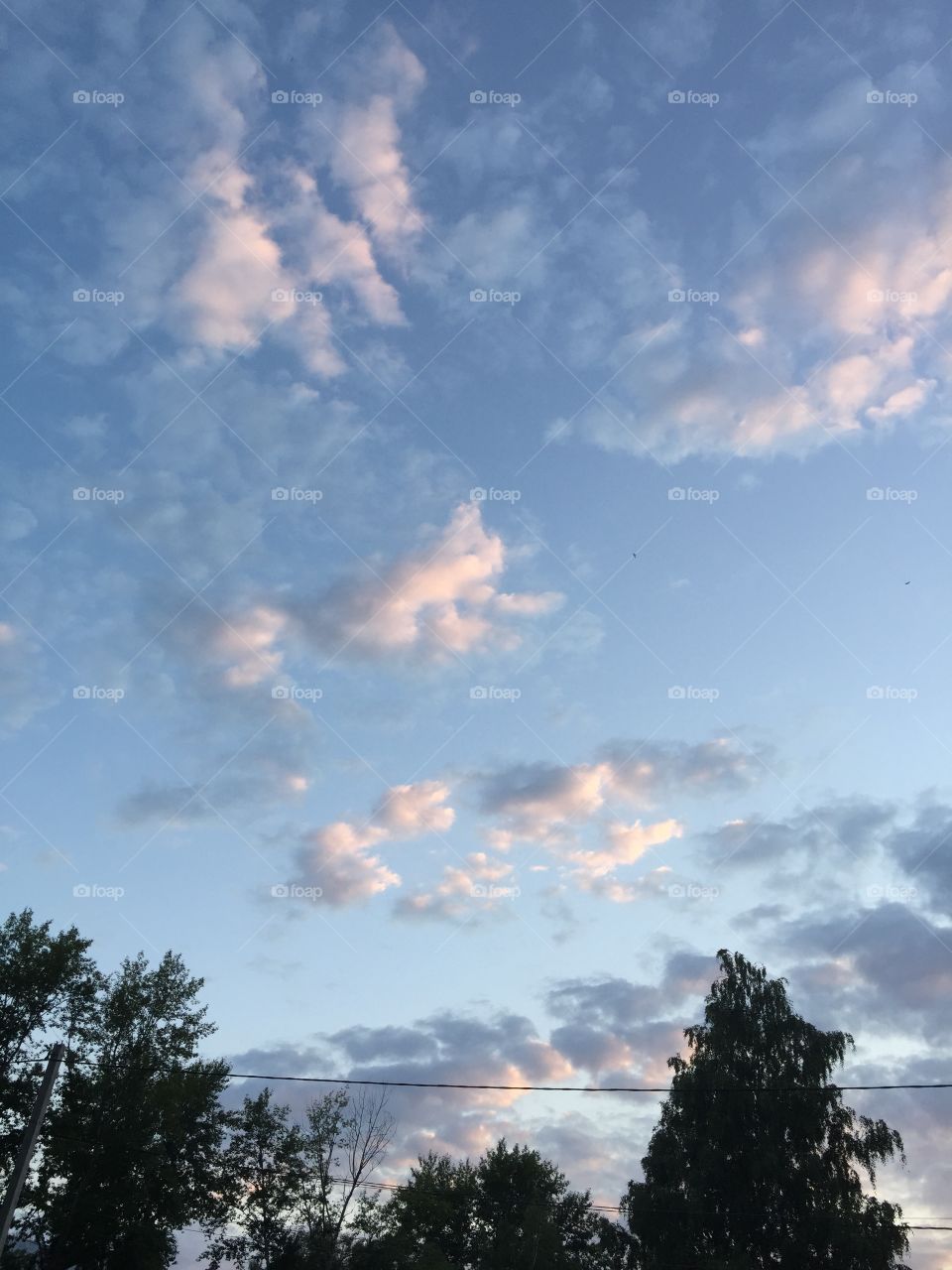 Sky