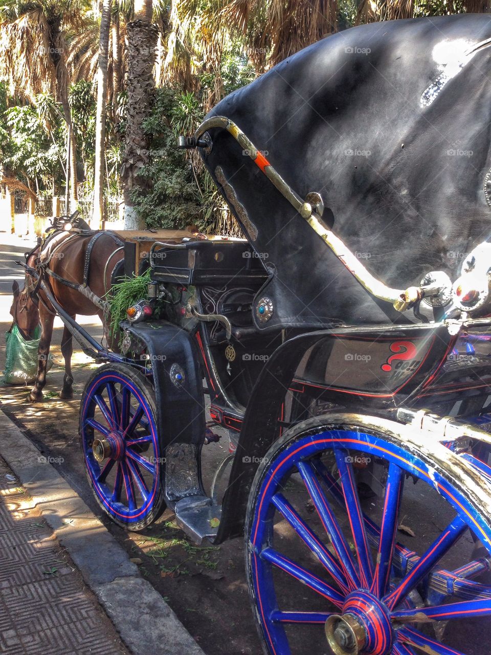   Horse carriage 