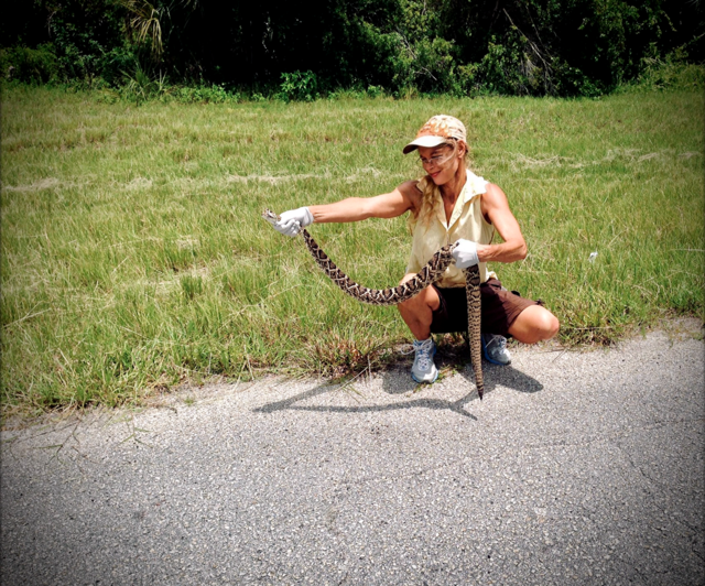 Woman holding an Eastern Diamondback Rattlesnake.