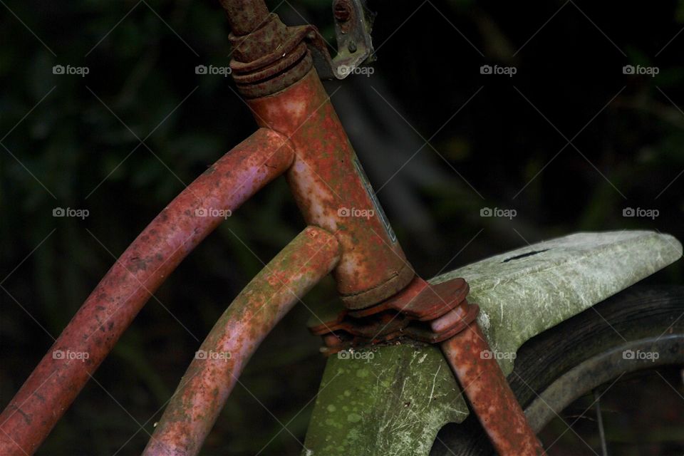 Rusted bike