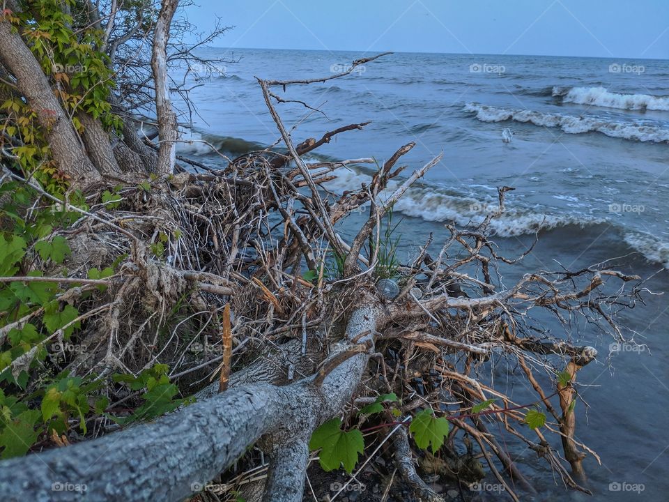 garbage Tangled in nature