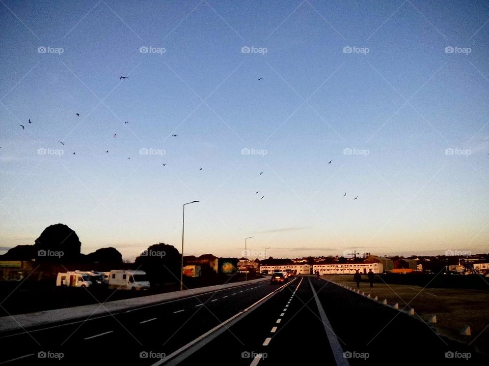 Empty road with birds in the sky