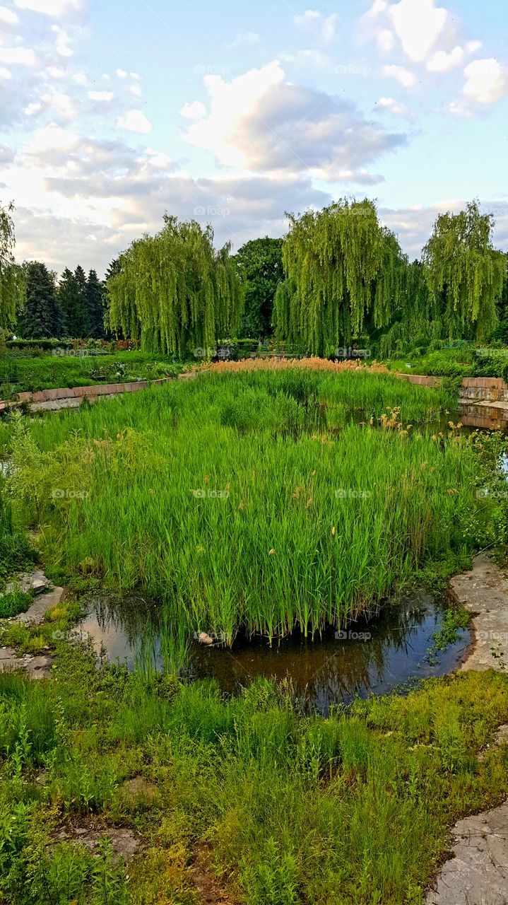 botanik garden