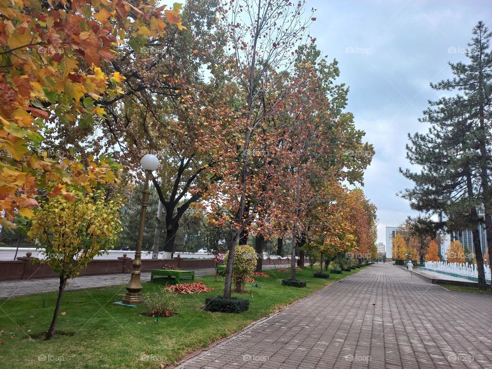 Autumn in Tashkent
