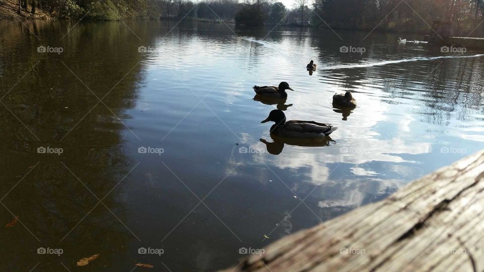 Water, Lake, River, Reflection, No Person