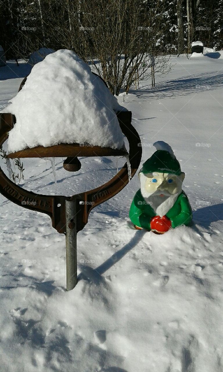 gnome in a snow bank